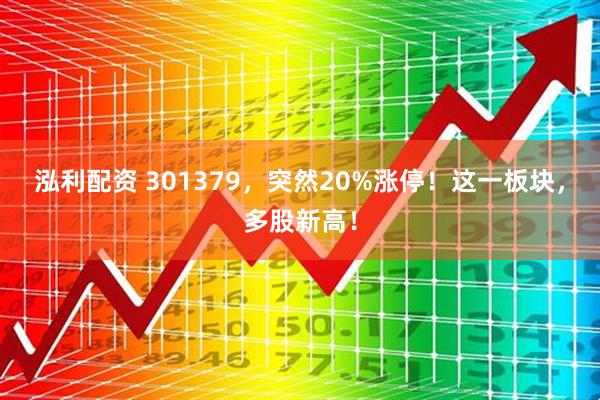 泓利配资 301379，突然20%涨停！这一板块，多股新高！