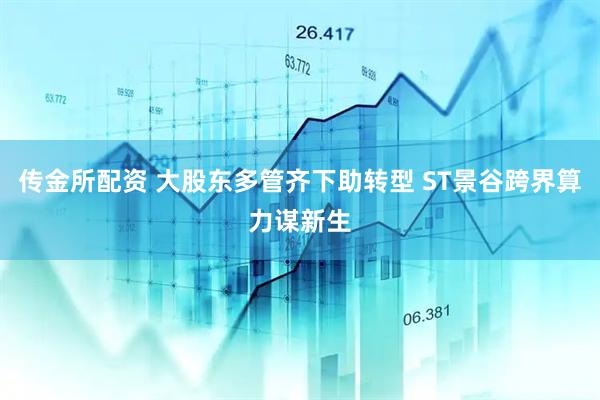 传金所配资 大股东多管齐下助转型 ST景谷跨界算力谋新生
