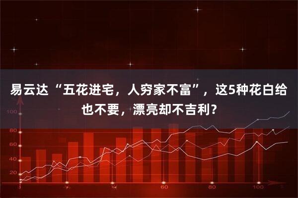 易云达 “五花进宅，人穷家不富”，这5种花白给也不要，漂亮却不吉利？