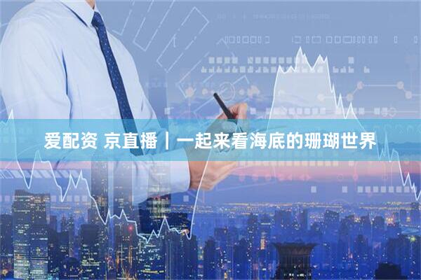 爱配资 京直播｜一起来看海底的珊瑚世界