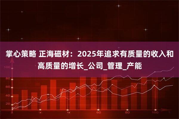 掌心策略 正海磁材:2025年追求有质量的收入和高质量的增长_公司_管理_产能