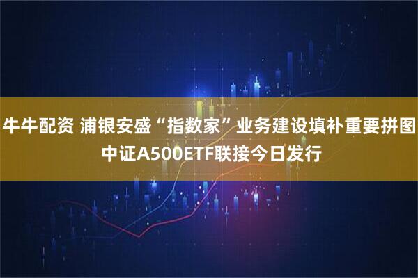 牛牛配资 浦银安盛“指数家”业务建设填补重要拼图 中证A500ETF联接今日发行